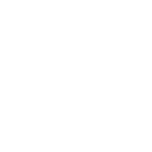 Ícono de garantia