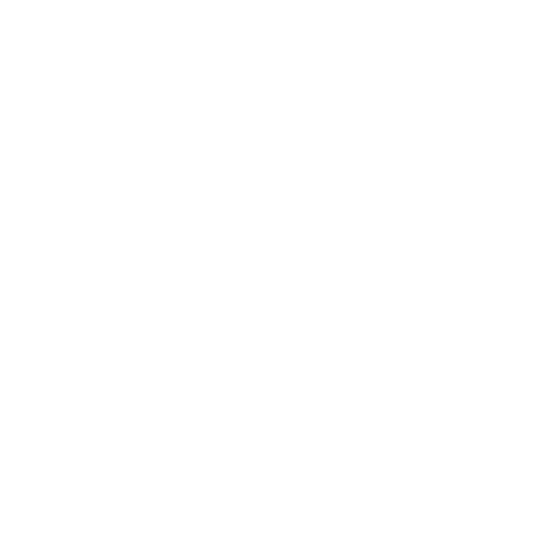 Ícono de experiencia